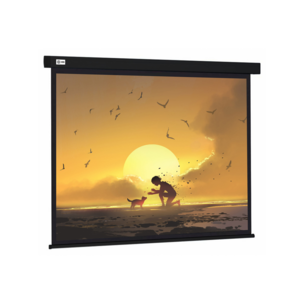 Рулонный cactus Wallscreen CS-PSW-150X150-BK