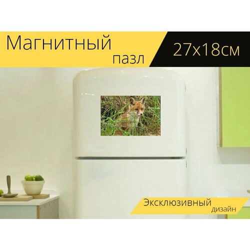 фото Магнитный пазл "молодой лис, лисенок, норка" на холодильник 27 x 18 см. lotsprints