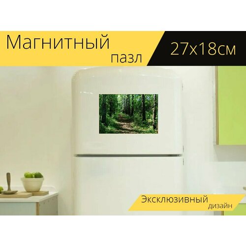 Магнитный пазл Пейзаж, природа, тропинка на холодильник 27 x 18 см. магнитный пазл весна тропинка деревья на холодильник 27 x 18 см