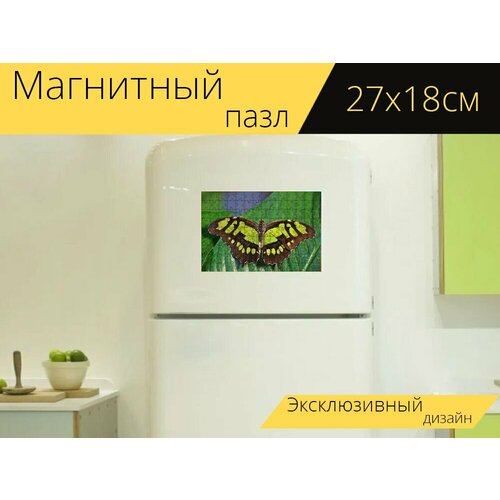 Магнитный пазл Бабочка куклы, куклы, бабочка на холодильник 27 x 18 см.