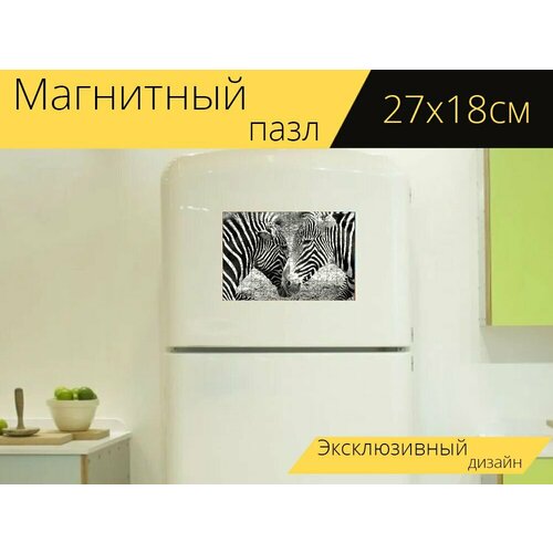 Магнитный пазл Зебры, зоопарк, чернобелый на холодильник 27 x 18 см.