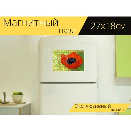 Магнитный пазл Кукурузный мак, мак, цвести на холодильник 27 x 18 см. магнитный пазл мак цветок цвести на холодильник 27 x 18 см