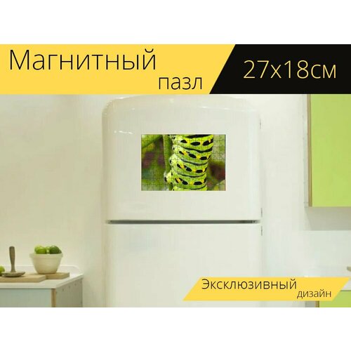 Магнитный пазл Гусеница махаона, зеленая гусеница, гусеница на холодильник 27 x 18 см.