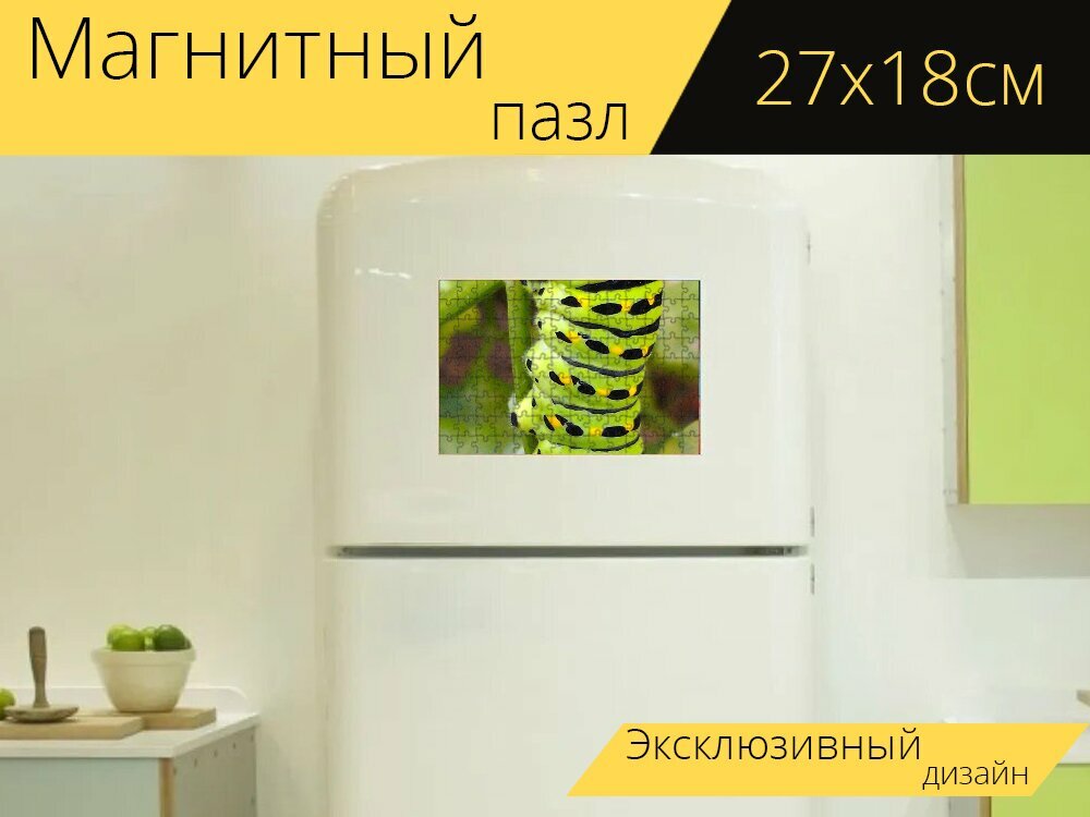 Магнитный пазл "Гусеница махаона, зеленая гусеница, гусеница" на холодильник 27 x 18 см.