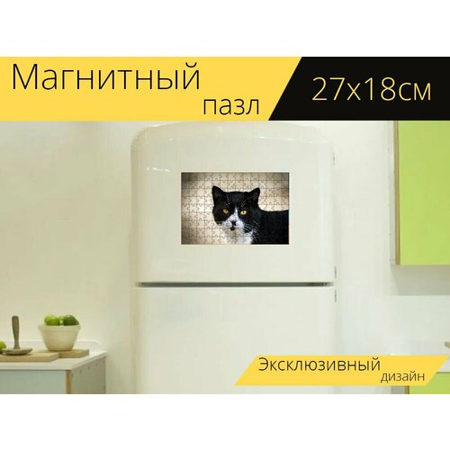 Магнитный пазл Кошка, млекопитающее, животное на холодильник 27 x 18 см. магнитный пазл кошка млекопитающее животное на холодильник 27 x 18 см