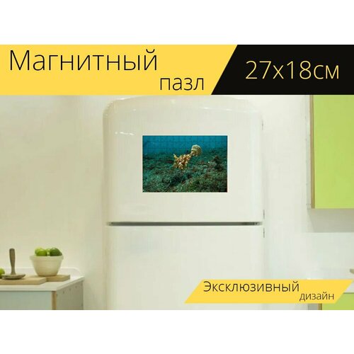 Магнитный пазл Рыба, рыбы, подводный на холодильник 27 x 18 см. магнитный пазл скаляр рыбы вода на холодильник 27 x 18 см