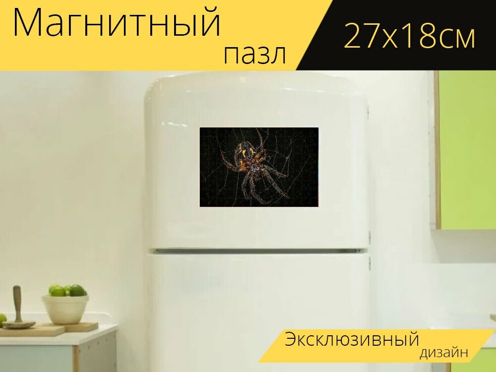 Магнитный пазл "Паук, паутина, ловушка" на холодильник 27 x 18 см.