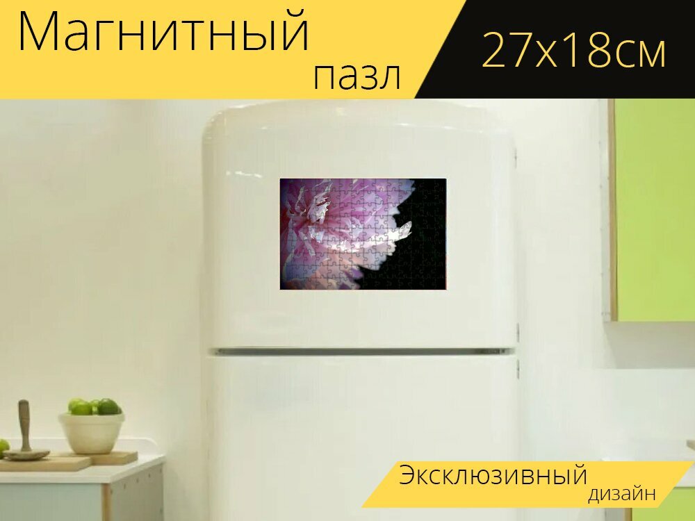 Магнитный пазл "Цветок, пион, макрос" на холодильник 27 x 18 см.