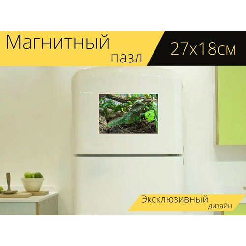 Магнитный пазл Ящерица, рептилия, животное на холодильник 27 x 18 см. магнитный пазл хамелеон животное ящерица на холодильник 27 x 18 см