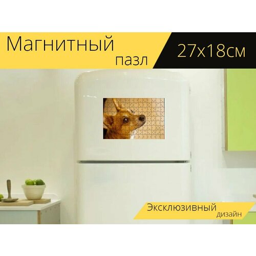 Магнитный пазл Собака, милый, домашний питомец на холодильник 27 x 18 см. магнитный пазл доберман собака домашний питомец на холодильник 27 x 18 см