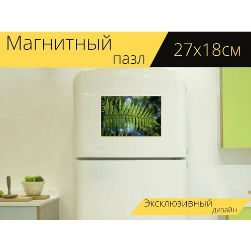 Магнитный пазл Зеленый, папоротник, листья на холодильник 27 x 18 см.