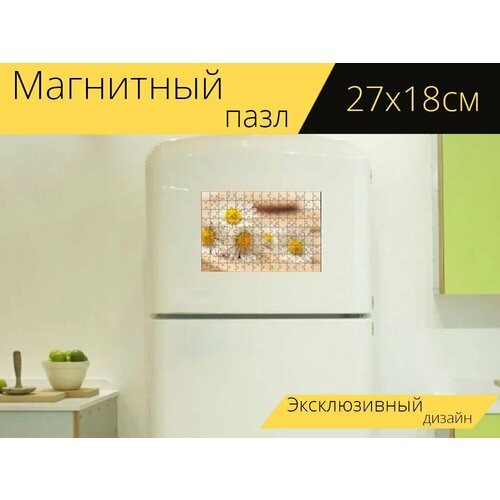 Магнитный пазл Маргаритка, спасибо, романтичный на холодильник 27 x 18 см. магнитный пазл проход заросший романтичный на холодильник 27 x 18 см