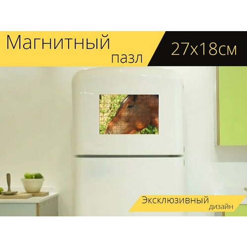 Магнитный пазл Лошадь, голова, лошадиная голова на холодильник 27 x 18 см. магнитный пазл лошадь лошадиная голова плесень на холодильник 27 x 18 см