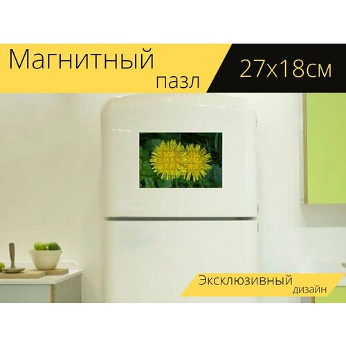 Магнитный пазл Одуванчик, халат одуванчик, цветок на холодильник 27 x 18 см. магнитный пазл макрос одуванчик лужайка на холодильник 27 x 18 см