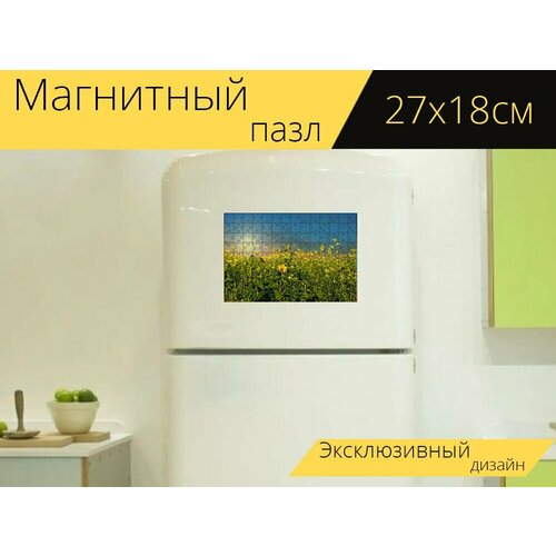 Магнитный пазл Рапс, подсолнечник, поле на холодильник 27 x 18 см.