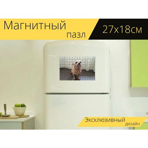 Магнитный пазл Маленькая собака, чихуахуа, милый на холодильник 27 x 18 см. магнитный пазл собака чихуахуа маленькая собака на холодильник 27 x 18 см