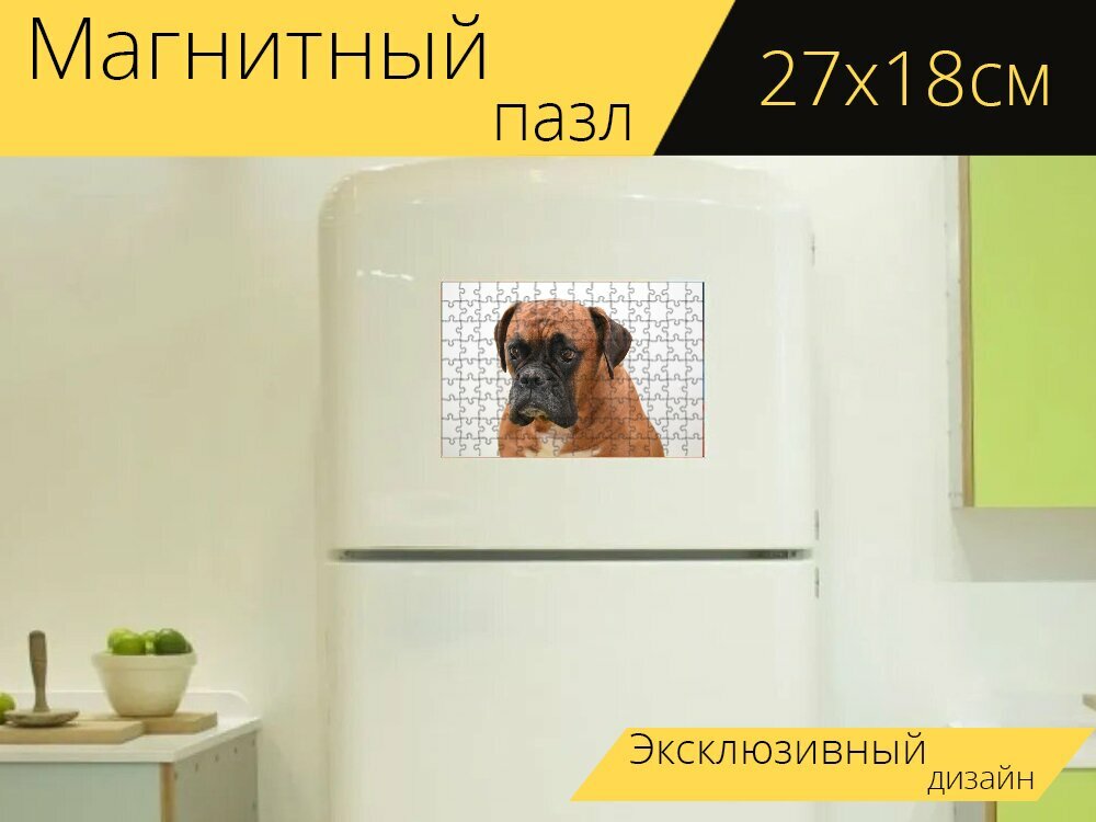 Магнитный пазл "Боксер, собака, портрет животных" на холодильник 27 x 18 см.