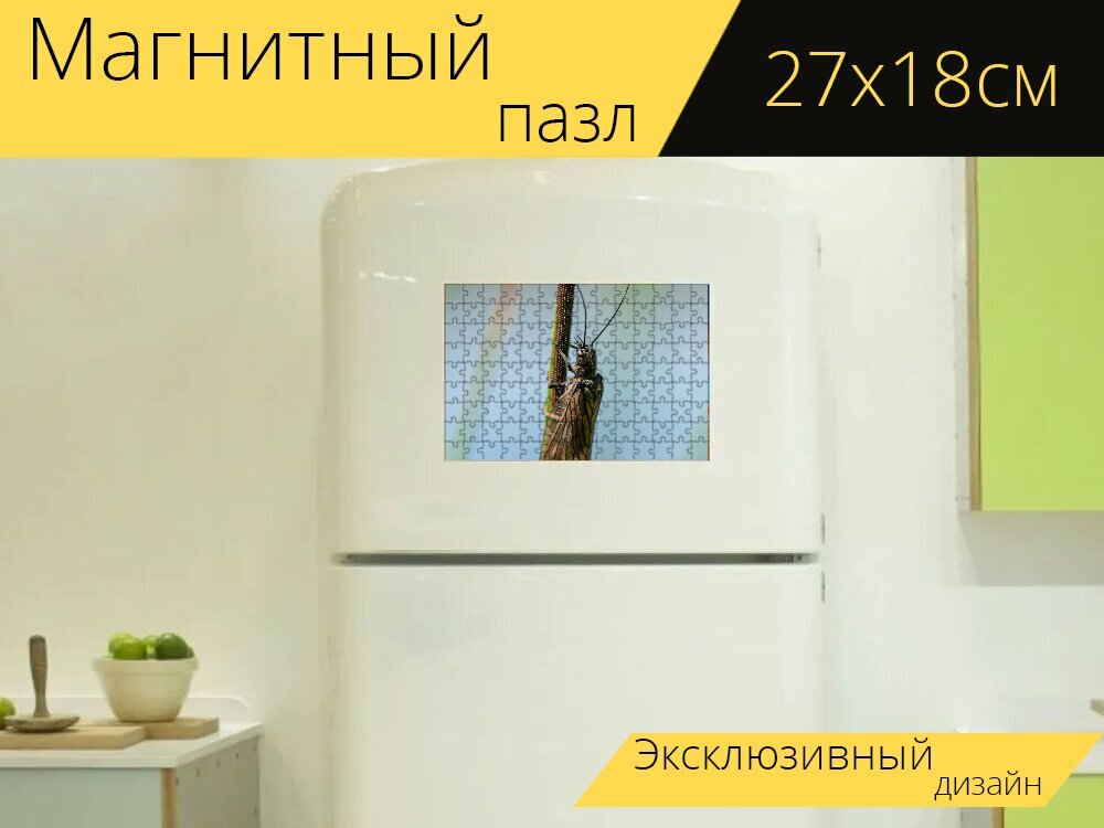Магнитный пазл "Моль, насекомое, крылья" на холодильник 27 x 18 см.
