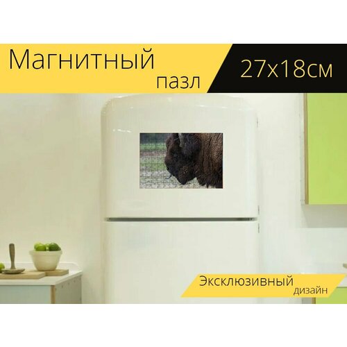 Магнитный пазл Американский бизон, зубр, животное на холодильник 27 x 18 см.