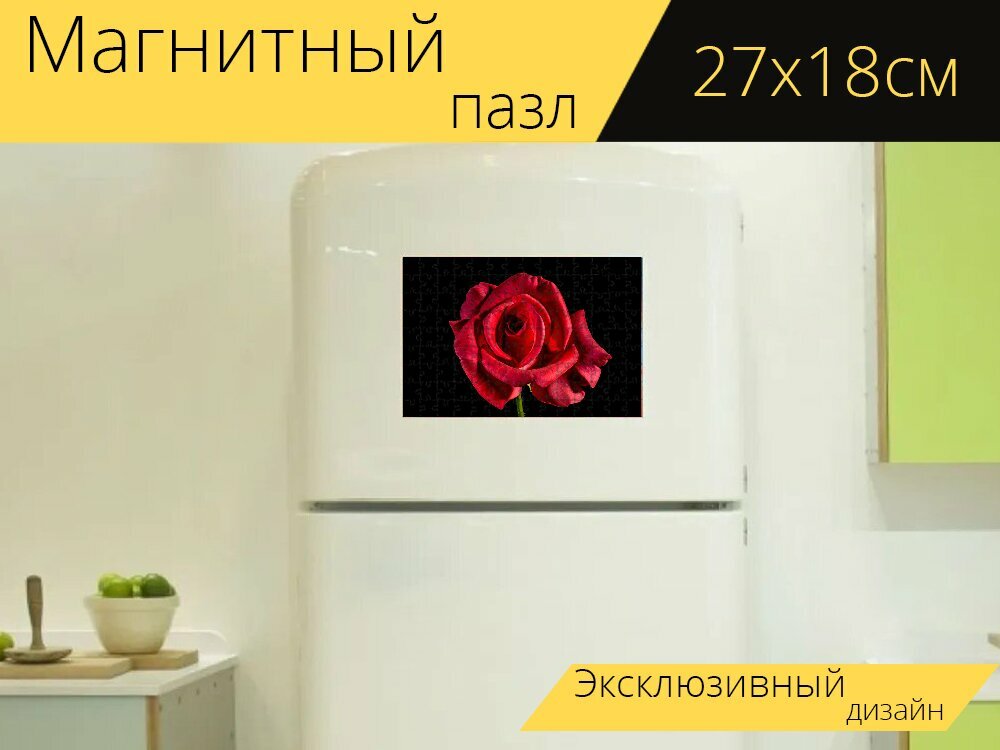 Магнитный пазл "Красная роза, роза, цвести" на холодильник 27 x 18 см.