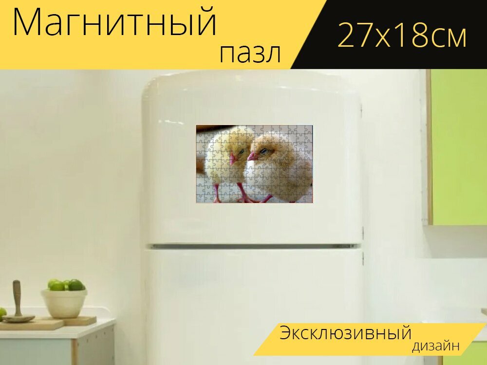 Магнитный пазл "Цыплята, цыпленок, курица" на холодильник 27 x 18 см.