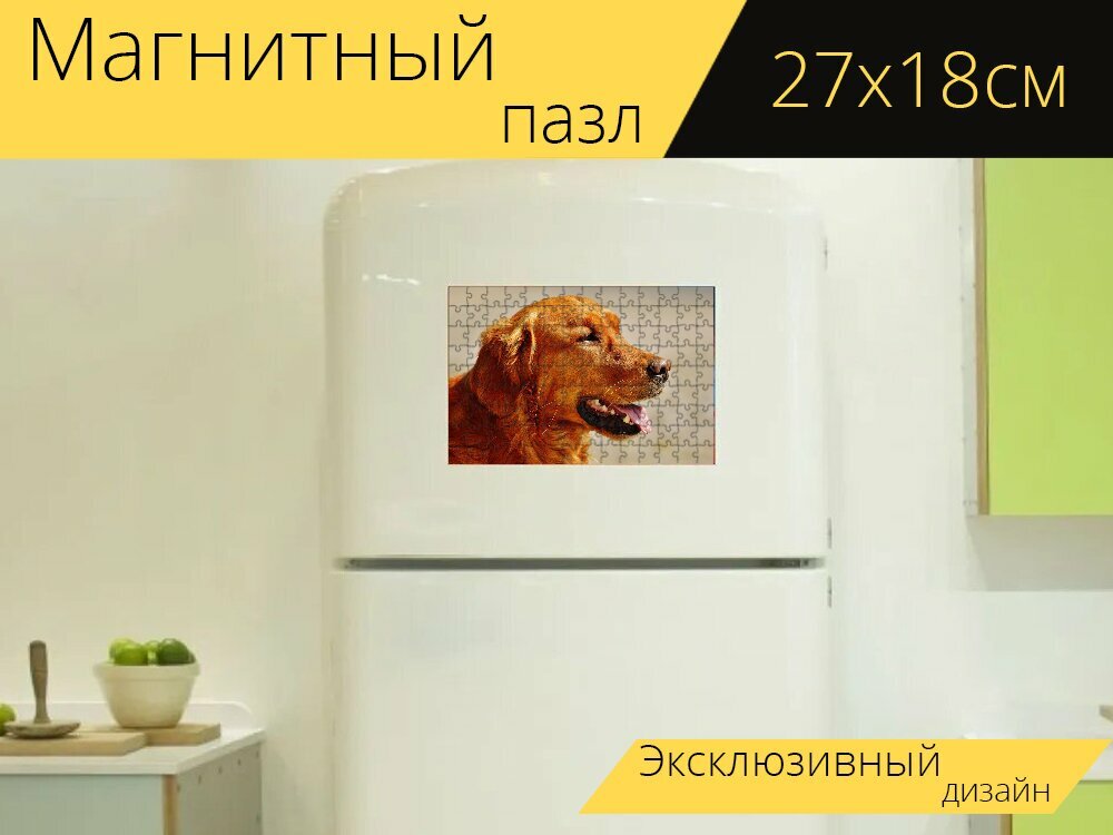 Магнитный пазл "Ирландский сеттер, собака, шерсть" на холодильник 27 x 18 см.