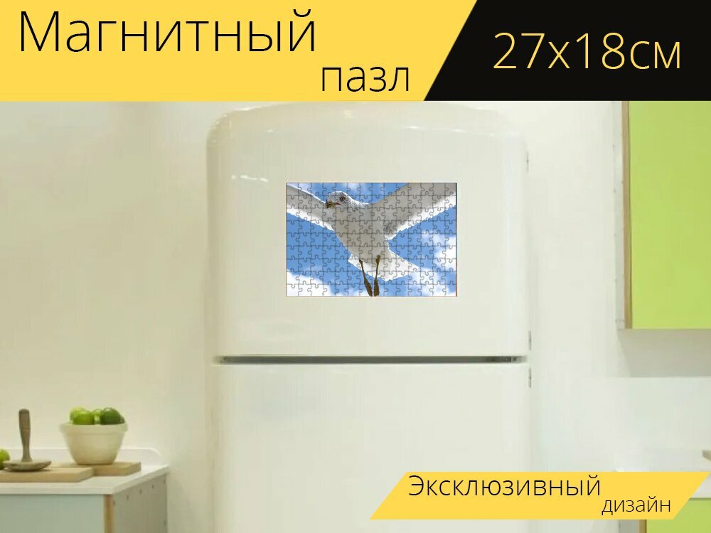 Магнитный пазл "Чайка, северная каролинабич, птица" на холодильник 27 x 18 см.