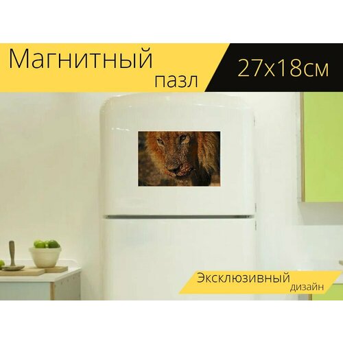 Магнитный пазл Лев, намибия, африка на холодильник 27 x 18 см.