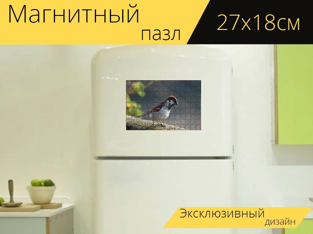 Магнитный пазл "Воробей, птица, домовый воробей" на холодильник 27 x 18 см.