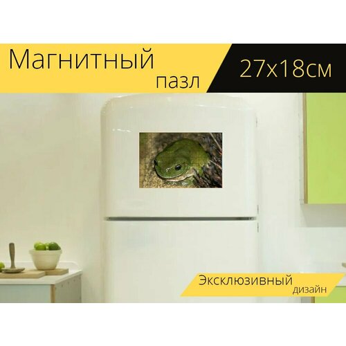 Магнитный пазл Зеленая древесная лягушка, лягушка, дикая природа на холодильник 27 x 18 см.