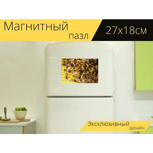 Магнитный пазл Медоносных пчел, улей, медовый на холодильник 27 x 18 см. коврик для мыши с принтом медоносных пчел улей медовый 25x20см
