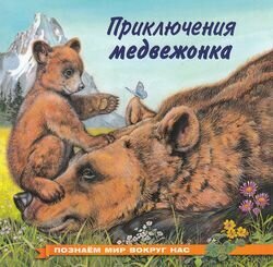 ПознаемМирВокругНас Приключения медвежонка, Арт.19761/28244, (Фламинго, 2020)