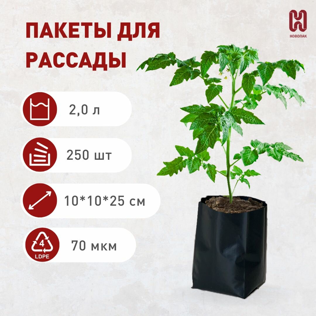 Пакеты для рассады и цветов 2л, 250 шт, многоразовые мешочки для рассады, полиэтиленовые мешки для растений с перфорацией и дренажем