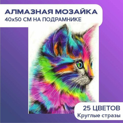 Алмазная мозаика / вышивка / живопись на холсте с подрамником 40х50 Разноцветный котенок (картина стразами)