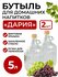 Бутылка для домашних напитков "Дария" 5 литров, 2 шт.