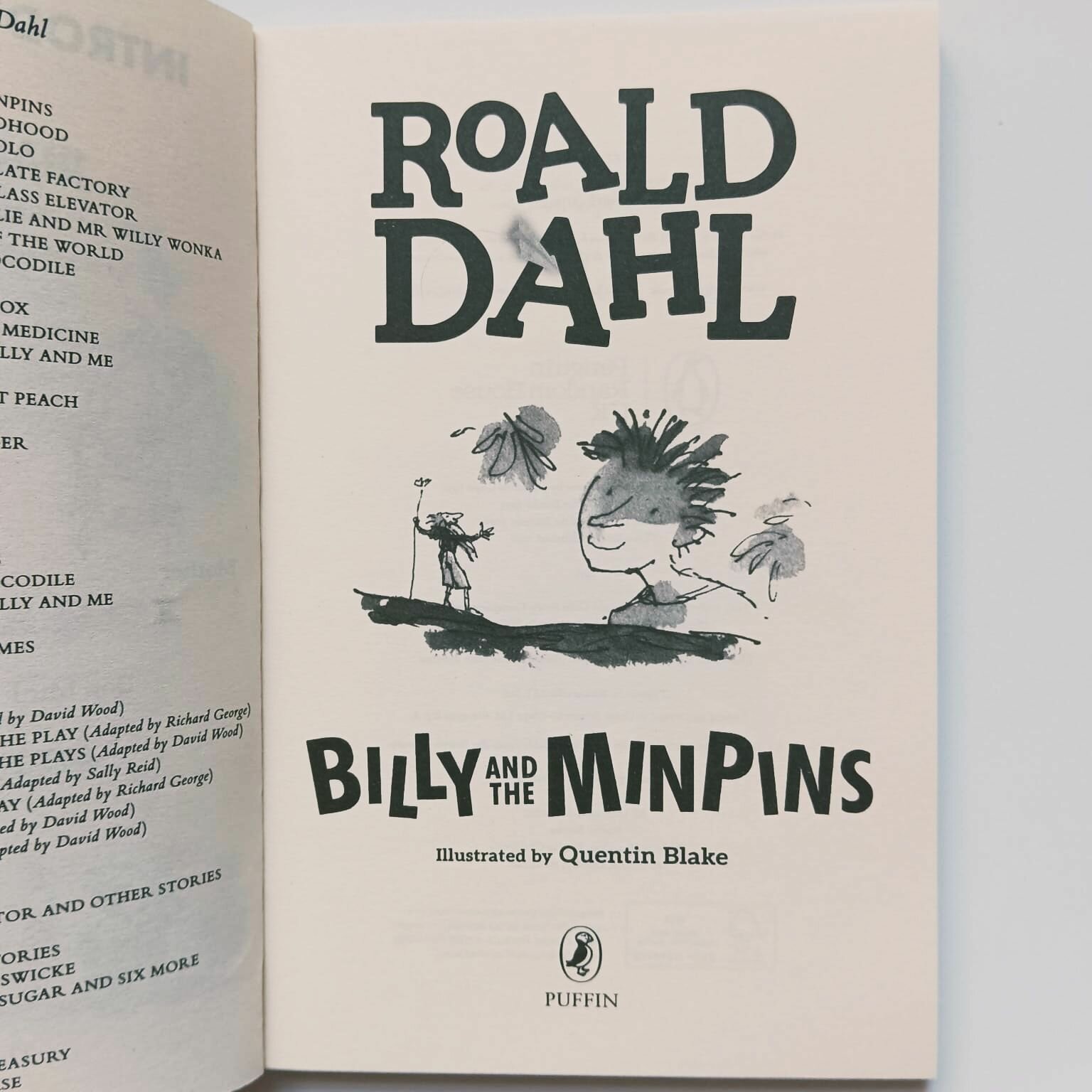 Billy and the Minpins (Roald Dahl) - фото №6