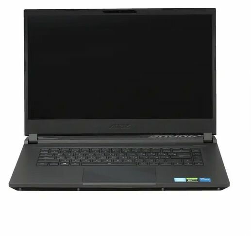 15.6" Ноутбук AORUS 15 9KF (15 9KF) черный - 1920x1080, IPS, Intel Core i5 12500H, ядра: 12 х 2.5 ГГц, 8 ГБ, SSD 512 ГБ, GeForce RTX 4060 для ноутбуков - 8 ГБ, без ОС