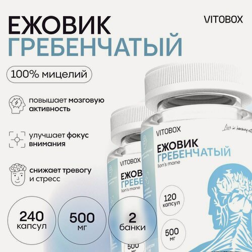 Изображение товара Ежовик гребенчатый, 240 капсул