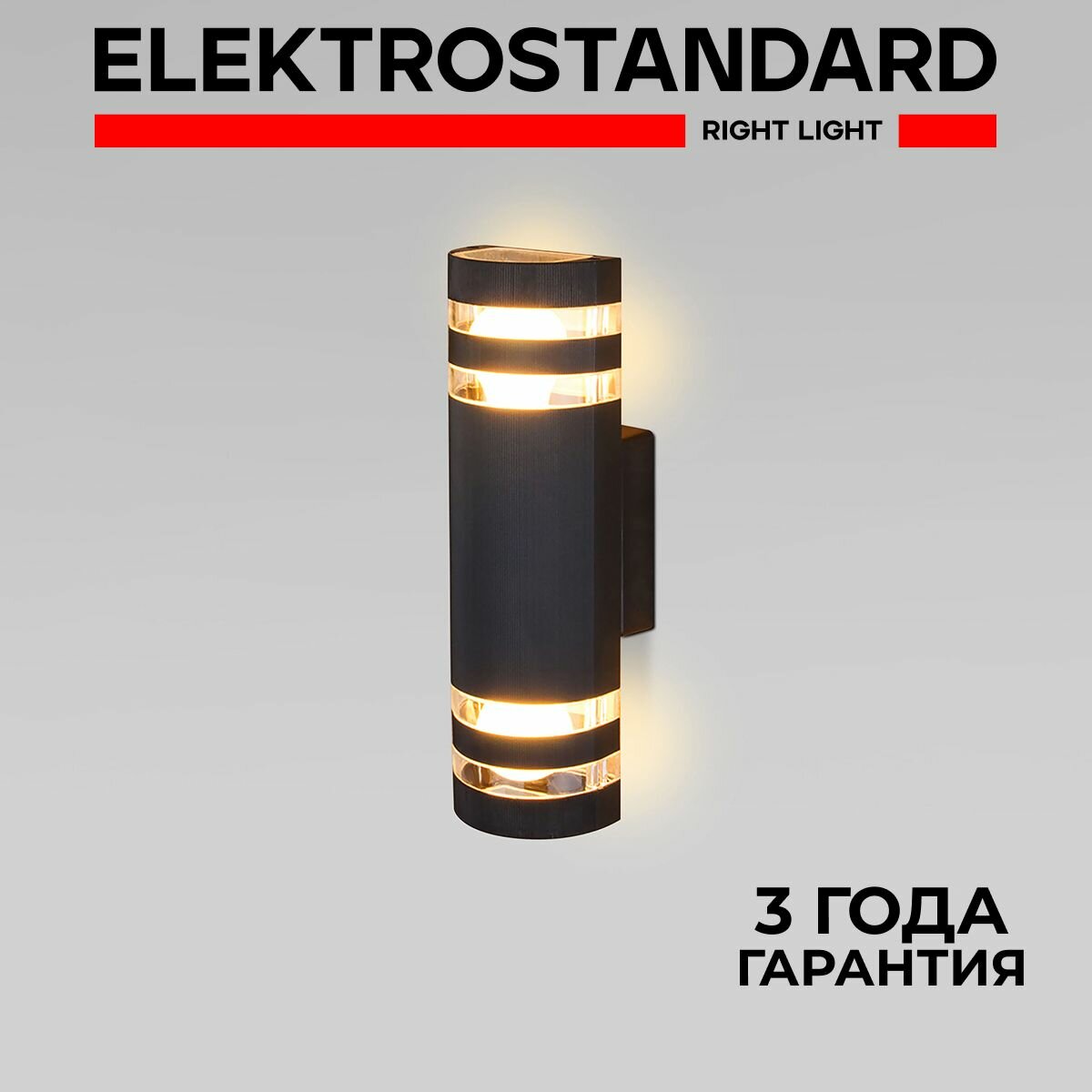 Уличный светильник настенный в современном стиле Elektrostandard 1443 TECHNO IP54 черный