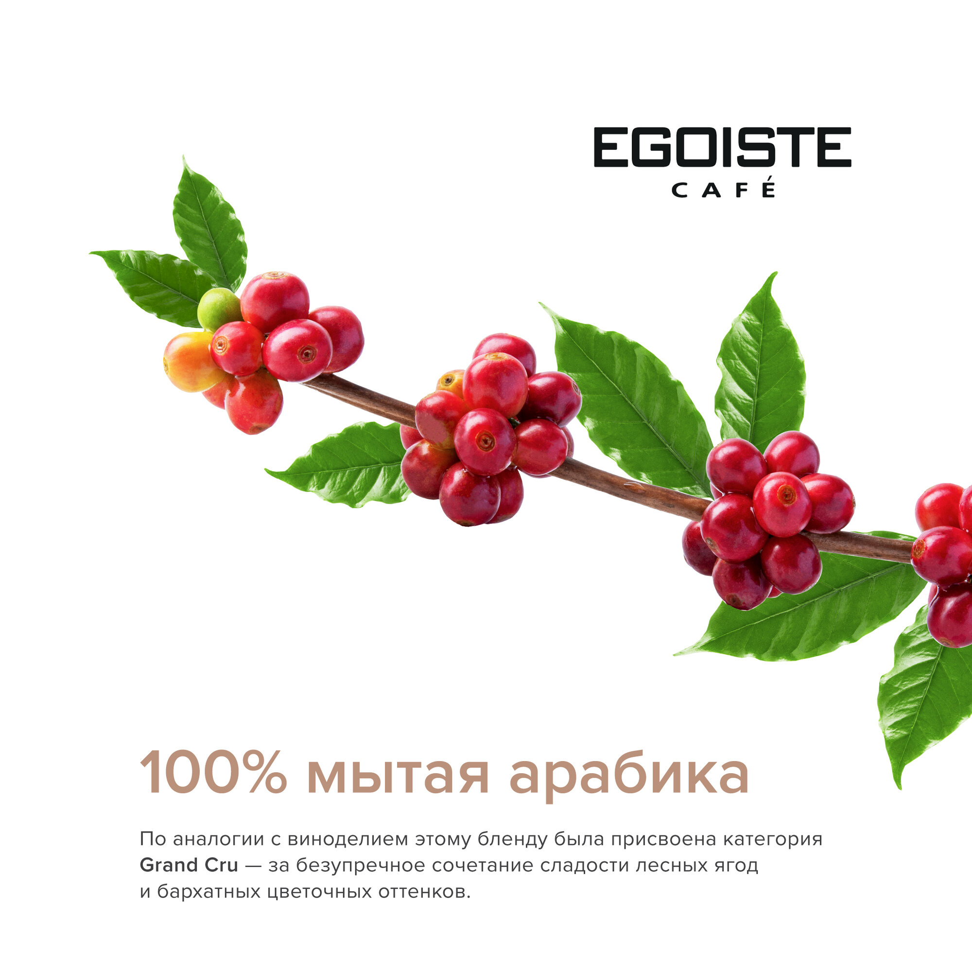 Кофе молотый Egoiste Grand Cru 250г - фото №4