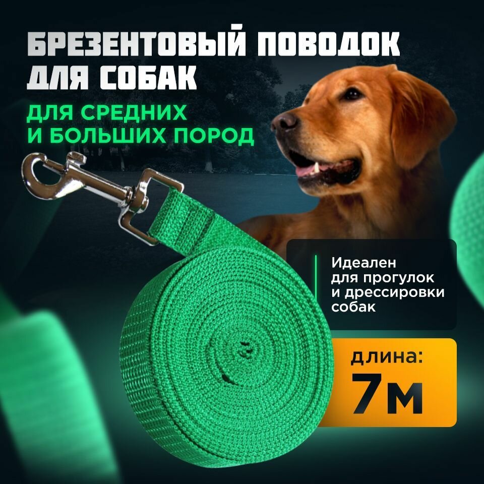 фото Поводок для средних, больших собак/ брезентовый с карабином/длина 7 м х ширина 2,5 см/Амуниция для животных