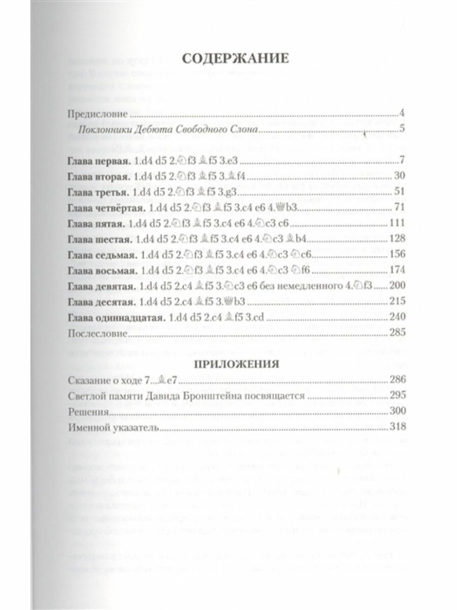 Дебют свободного слона (Безгодов Алексей Михайлович) - фото №3