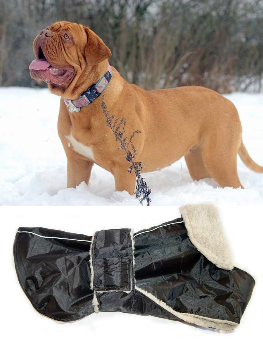 Попона зимняя для собак на меху черная 60 - фотография № 1