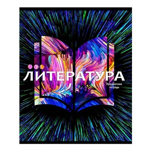 Тетрадь предметная Фейерверк знаний. Литература 48 л, А5