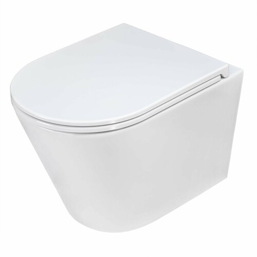 Унитаз безободковый Lengitown Neapol TL- 53 с сиденьем микролифт