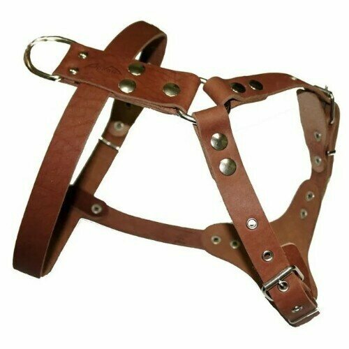 Шлея кожаная №2 водильная, цвет коньячный, размер 80-98 см x 25 мм, два слоя кожи