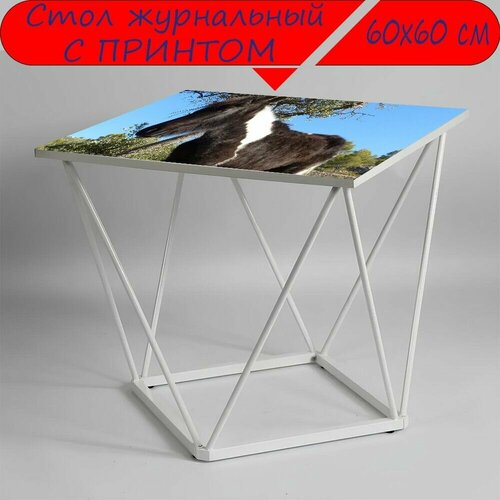 Журнальный стол 