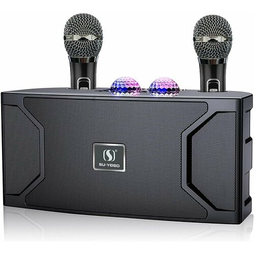 Караоке система с двумя микрофонами SU-YOSD YS-211 черная 6650₽