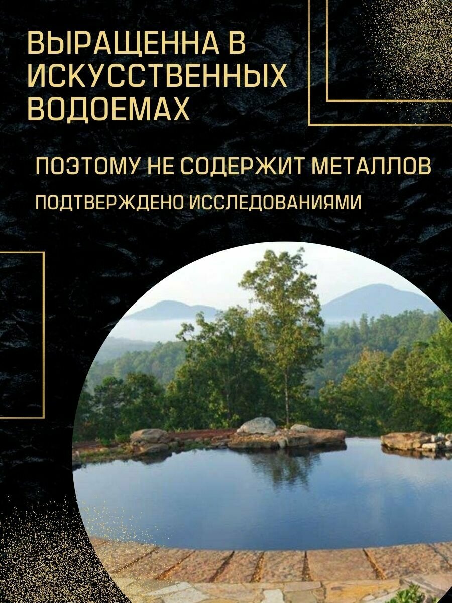 BioHerb Хлорелла в таблетках, для похудения, 100% натуральная, 100 г (400 таб)