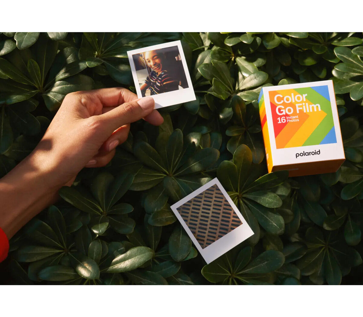 Картридж Polaroid Go Color Film Double Pack 2 х 8 снимков